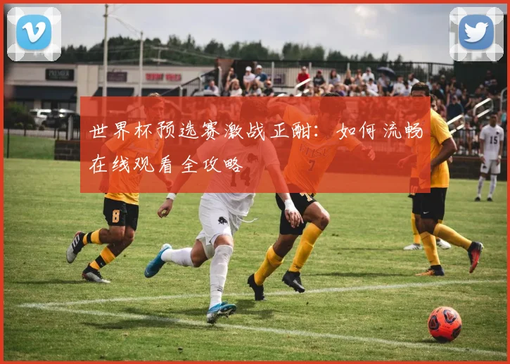 世界杯预选赛激战正酣：如何流畅在线观看全攻略