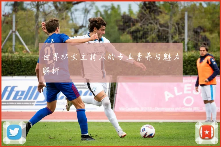 世界杯女主持人的专业素养与魅力解析