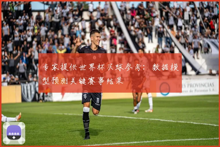 专家提供世界杯买球参考：数据模型预测关键赛事结果