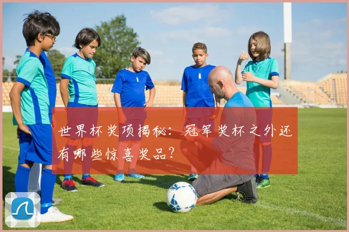 世界杯奖项揭秘：冠军奖杯之外还有哪些惊喜奖品？