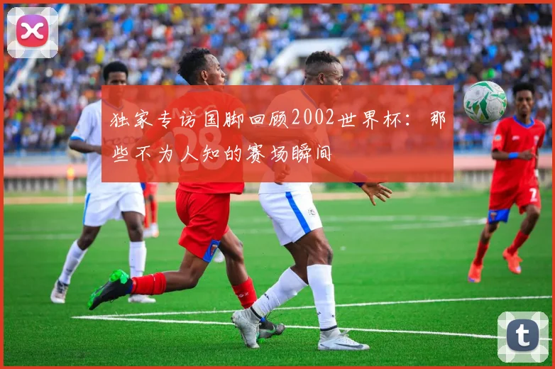 独家专访国脚回顾2002世界杯：那些不为人知的赛场瞬间