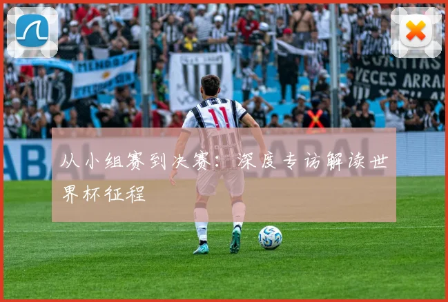 从小组赛到决赛：深度专访解读世界杯征程