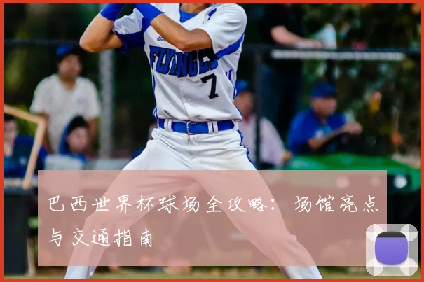 巴西世界杯球场全攻略：场馆亮点与交通指南
