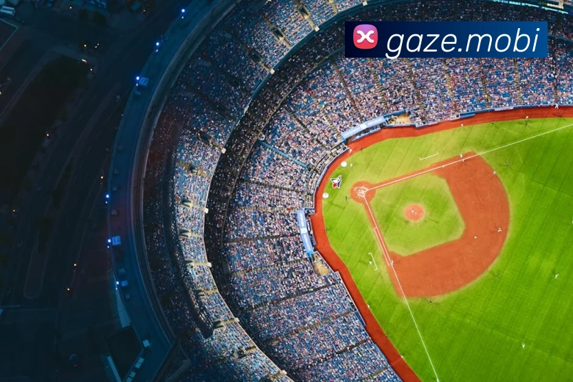 多媒体互动体验