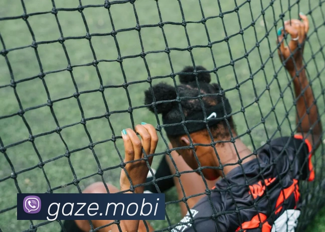 半岛官网首页APP 体育赛事宣传图